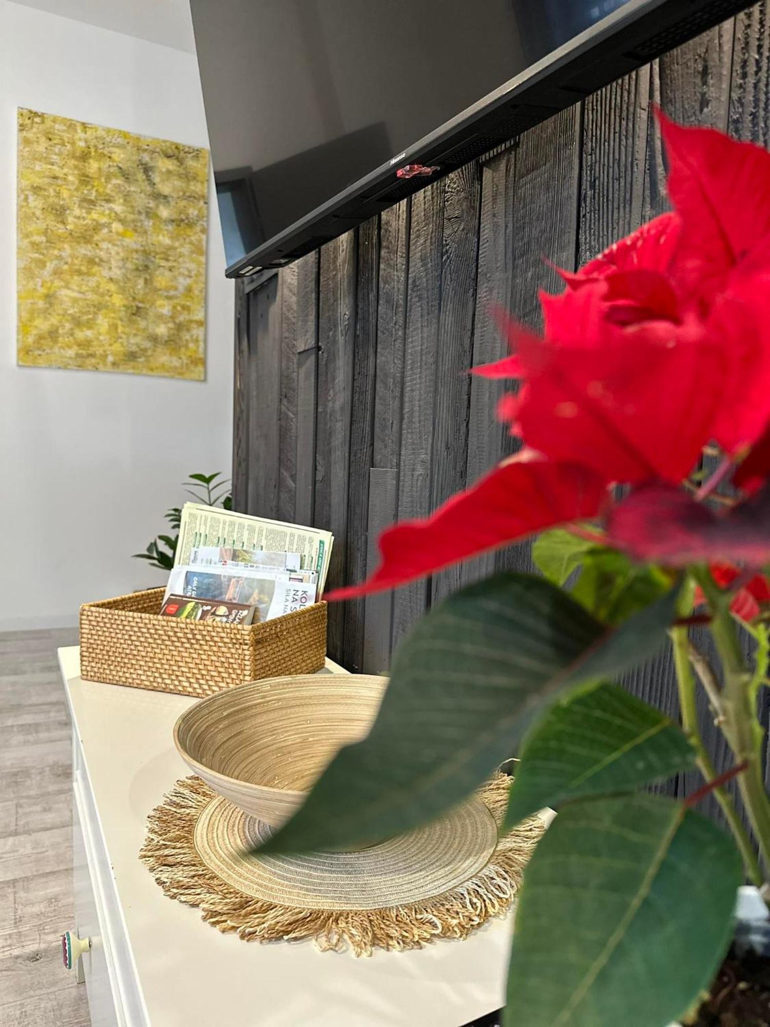 Apartament Fajny Kat Ustrzyki Dolne Ngoại thất bức ảnh
