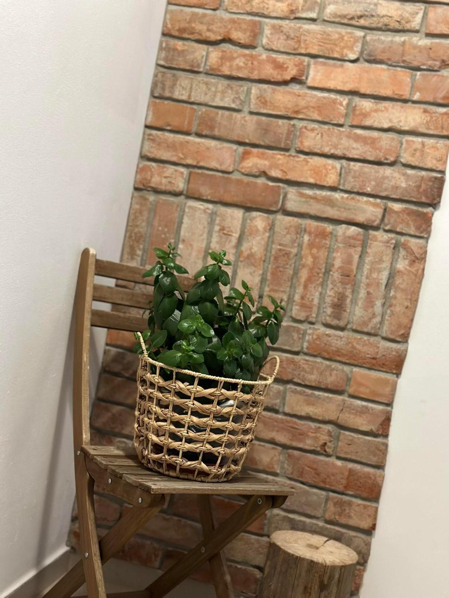 Apartament Fajny Kat Ustrzyki Dolne Ngoại thất bức ảnh